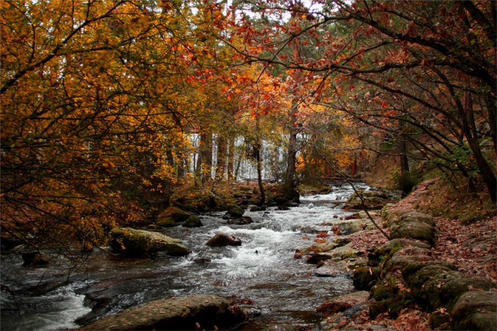 Otoño en Madrid